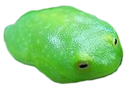 Art tagged wikipic